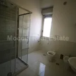 Rent 2 bedroom apartment of 50 m² in San Nicola La Strada