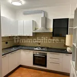 Rent 3 bedroom apartment of 64 m² in Bologna