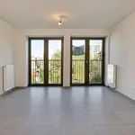 Rent 1 bedroom apartment in Antwerpen