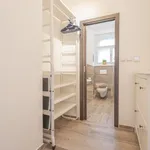 Pronajměte si 2 ložnic/e byt o rozloze 42 m² v Prague