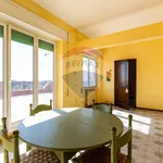 Rent 3 bedroom apartment of 94 m² in Roma