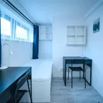 Rent 1 bedroom apartment in Brno