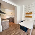 Rent 1 bedroom apartment in Capital City of Prague