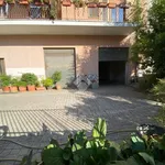 Rent 1 bedroom apartment of 100 m² in Colleferro