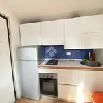 Rent 1 bedroom apartment of 25 m² in Milano