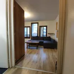 Rent 2 bedroom apartment of 28 m² in GRENOBLE