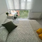 Rent a room in Madrid