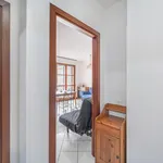 Rent 1 bedroom apartment in Bologna