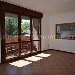 Rent 2 bedroom apartment of 71 m² in Bologna