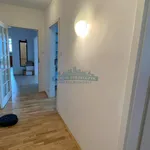 Rent 3 bedroom apartment of 105 m² in Warszawa