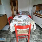 Rent 2 bedroom apartment of 50 m² in Turin