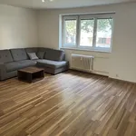 Rent 3 bedroom apartment in Plzeň