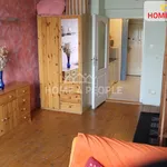 Rent 1 bedroom apartment of 39 m² in Prague