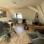 Rent 1 bedroom apartment of 45 m² in Arnhem