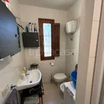 Rent 1 bedroom apartment of 50 m² in Pisa