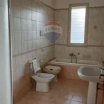 Rent 3 bedroom apartment of 118 m² in Casteldaccia