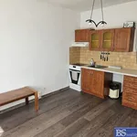 Rent 1 bedroom apartment of 19 m² in Ústí nad Labem