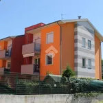 Rent 2 bedroom apartment of 55 m² in Lainate