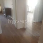 Rent 4 bedroom apartment of 80 m² in La Spezia