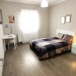 Rent a room in zaragoza