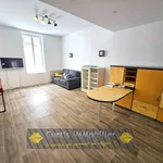 Rent 2 bedroom apartment of 52 m² in location appartement f2 firminy