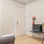 Rent 1 bedroom apartment in madrid