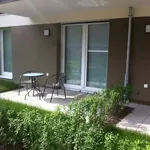 Rent 2 bedroom apartment of 47 m² in Frankfurt am Main