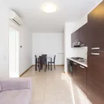 Rent 1 bedroom apartment of 60 m² in milan