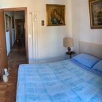 Affitto 3 camera appartamento di 115 m² in Pisa