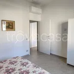 Rent 3 bedroom apartment of 95 m² in Pisa