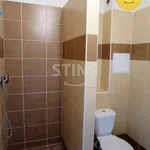 Rent 1 bedroom apartment in Ostrava