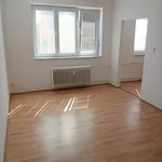 Rent 1 bedroom apartment in Náchod