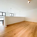 Rent 1 bedroom apartment in IXELLES