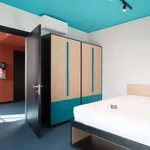 Rent 1 bedroom apartment in milan