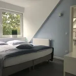 Rent 1 bedroom apartment of 36 m² in Münster