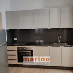 Rent 1 bedroom apartment of 60 m² in padova