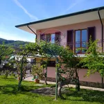 Rent 11 bedroom house of 210 m² in Borgo a Mozzano