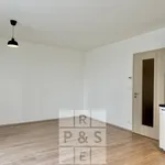 Rent 1 bedroom apartment in Praha 5