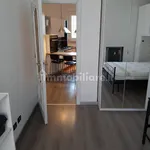 Rent 2 bedroom apartment of 50 m² in Turin