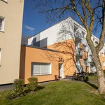 Rent 1 bedroom apartment of 34 m² in Dusseldorf