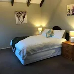 Rent 5 bedroom house in Mt Maunganui