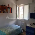 Rent 3 bedroom apartment of 110 m² in Trento