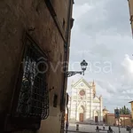 Rent 1 bedroom apartment of 45 m² in Firenze