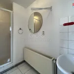 Rent 1 bedroom apartment in Svitavy