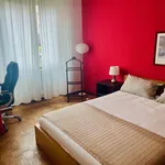 Rent 1 bedroom apartment in Milan