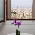 Rent 1 bedroom apartment of 43 m² in Firenze