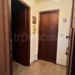 Rent 3 bedroom apartment of 70 m² in Vibo Valentia