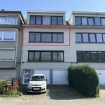 Rent 2 bedroom apartment in STROMBEEK-BEVER