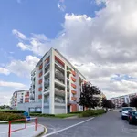 Pronajměte si 2 ložnic/e byt o rozloze 49 m² v Prague