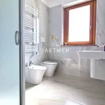 Rent 4 bedroom apartment of 100 m² in Torino